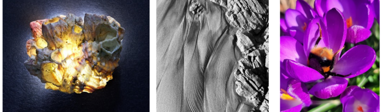 XVIII CONCURSO DE FOTOGRAFÍA, FOTOMONTAJE Y DISEÑO DIGITAL