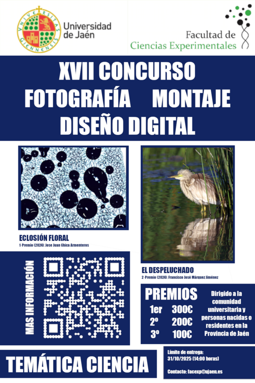 XVII Concurso de fotografía, montaje y diseño digital