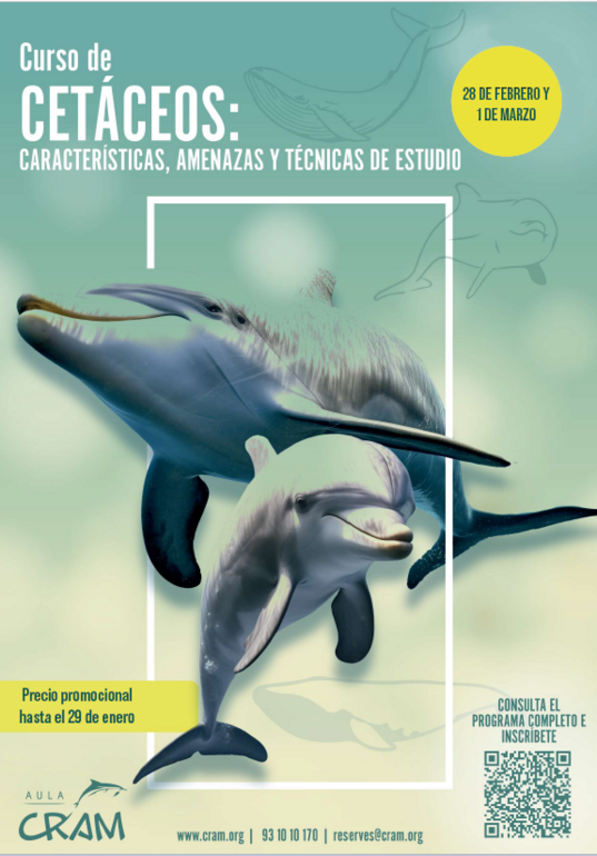CETÁCEOS: CARACTERÍSTICAS, AMENAZAS Y TÉCNICAS DE ESTUDIO