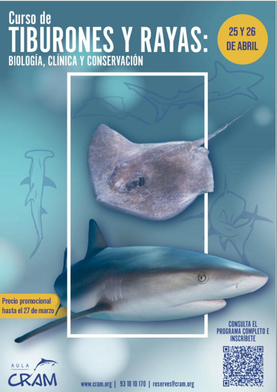 TIBURONES Y RAYAS: BIOLOGÍA, CLÍNICA Y CONSERVACIÓN
